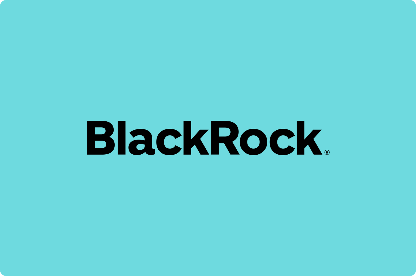 BlackRock company logo image